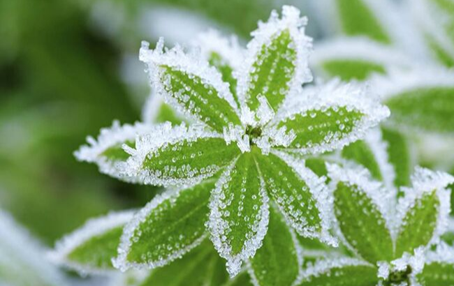 Морозы до -3 градусов: синоптик дала экстренный прогноз погоды